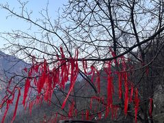 -秦岭终南山世界地质公园翠华山景区