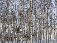 -长春市南湖公园