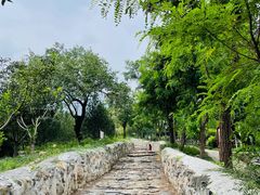 -阳台山自然风景区
