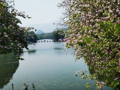 -星湖旅游景区七星岩