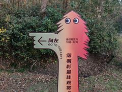 -上海海湾国家森林公园