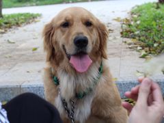 -阪尚皇·原切牛排·烤肉火锅自助(北京路店)