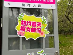 -武汉大学-樱园