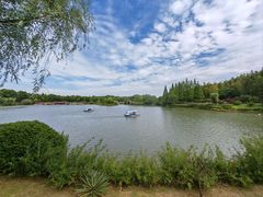-宜兴龙背山森林公园