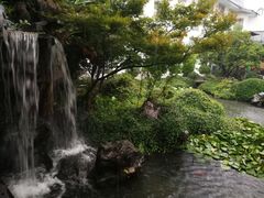 -苏苑饭店-中餐厅(长桥地区店)