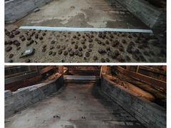 -元代水闸遗址博物馆