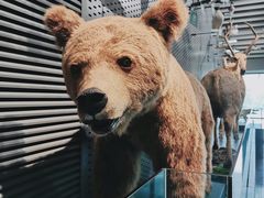 -中国湿地博物馆