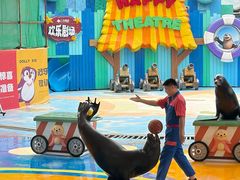-海合安成都极地海洋公园