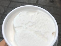 -洪馨椰子