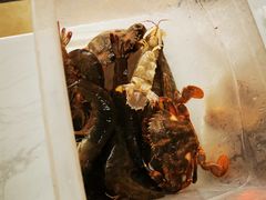 -前王院•巧克力海鲜市集餐厅(万平口店)