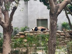 -石排湾郊野公园