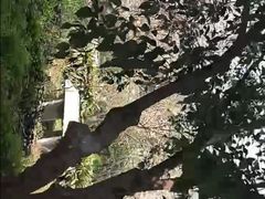 -樱桃山旅游景区