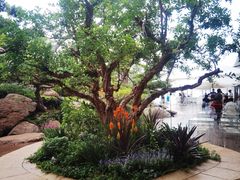 -罗红摄影艺术馆