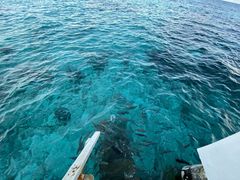 -中央格兰德岛温泉度假酒店 - 全包