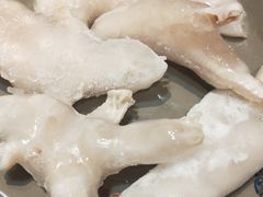 -渝大狮毛肚老火锅(普陀店)