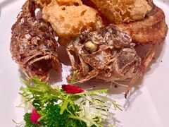 蜂巢天然小黄鱼-珍记海鲜酒家(嵩山路店)