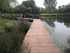 -东郊湿地公园