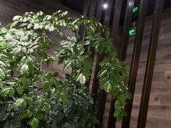 -金水养生(华新店)