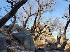 -阳台山自然风景区