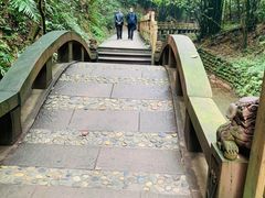 -凤栖山