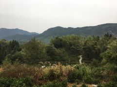 -塔川景区
