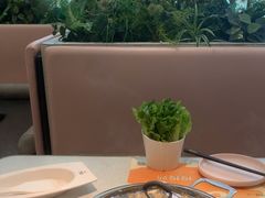 -黄记煌三汁焖锅(华发商都店)