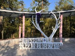 -趣飞飞黑麋峰国际滑翔伞基地