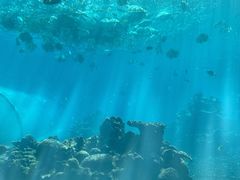 -海棠湾洲际-涛·海底餐厅·美人鱼·自助餐·海底隧道