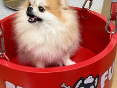 -DQ·蛋糕·冰淇淋(五角场万达店)