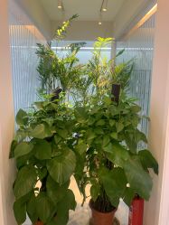 -西美医疗美容门诊部