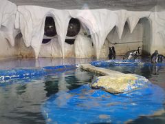 -太平洋海底世界