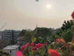 -鸿山公园
