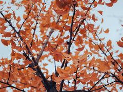 -终南山南五台景区