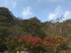 -大连天门山国家森林公园