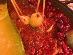 -朱光玉火锅馆(正弘城店)