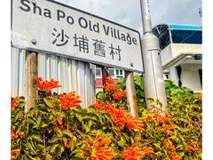 -南丫岛