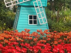 -南宫五洲植物乐园