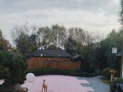 -郑州银基黄帝宫御温泉