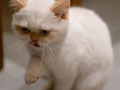 -虫二茶事(彭家巷店)