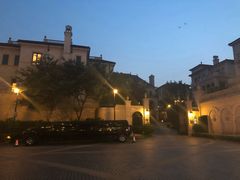-丽晶美庐·玉兰餐厅