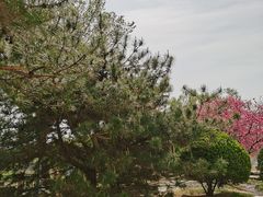-燕郊植物园