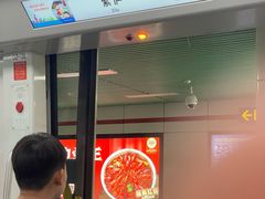 -紫庐(地铁站)