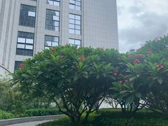 -福州工人文化宫