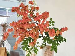 -浙江省中医院(湖滨院区)