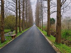 -广富林郊野公园