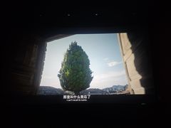 -中影南方国际影城(新世界店)