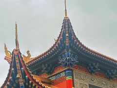 -东莞市大岭山森林公园