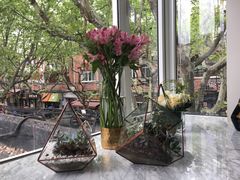 -蝶舍·MAISON PAPILLON