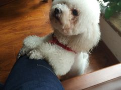 -煎饼道·新鲜现做(来福士店)