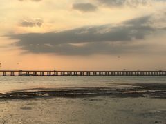 -宝安西湾红树林湿地公园